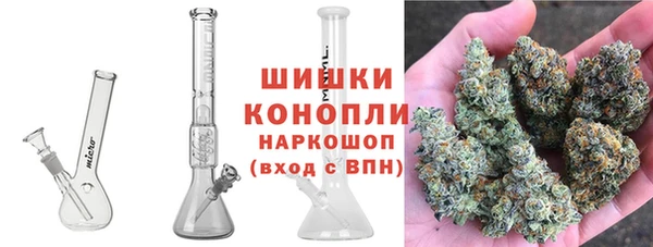гидра Кинешма