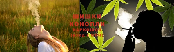 круглые Корсаков