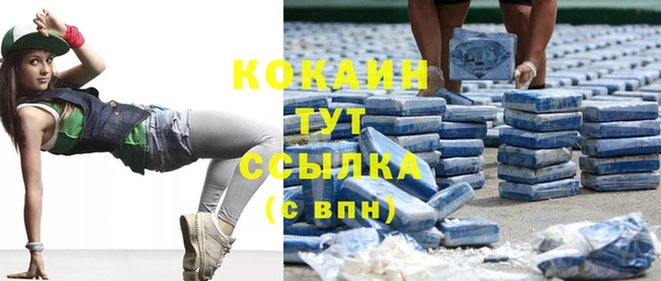 гидропоника Пересвет