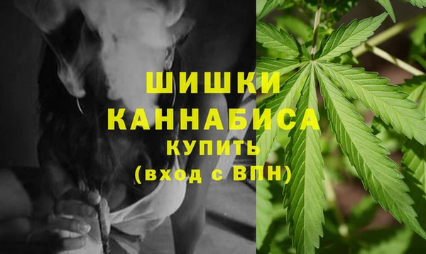 сатива Переславль-Залесский