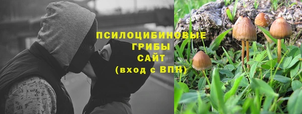 твердый Костерёво
