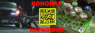 молекула духа Лесосибирск