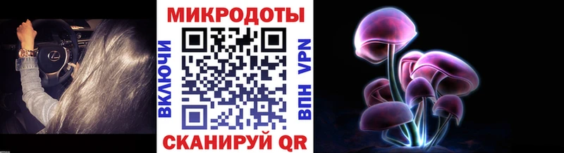 Галлюциногенные грибы Cubensis  купить наркоту  Урус-Мартан 
